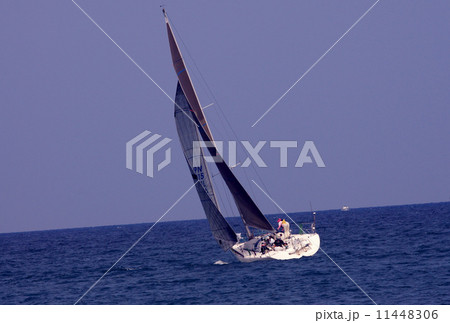 ヨットレース ヨットレース 11448306