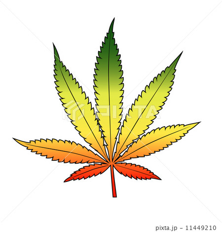 Cannabis leaf with rastafarian flag colors, horizontal. 11449210
