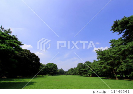 野川公園 11449541