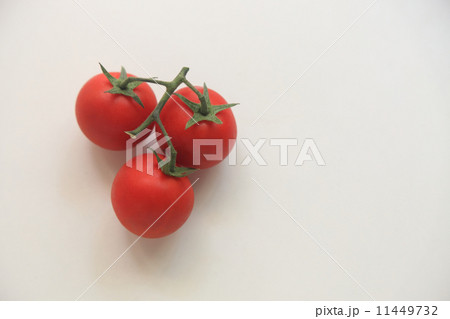 トマトの画像 トマトの画像 11449732