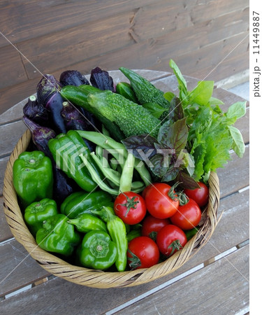 収穫したての夏野菜 収穫したての夏野菜 11449887