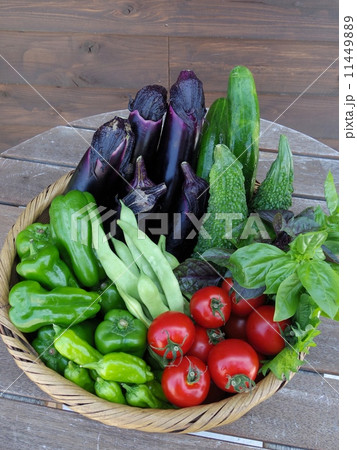 収穫したての夏野菜 収穫したての夏野菜 11449889