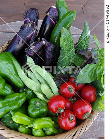 収穫したての夏野菜 収穫したての夏野菜 11449892