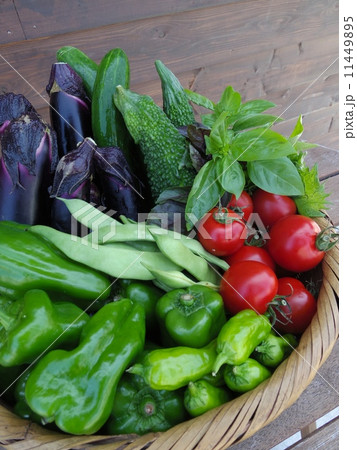 収穫したての夏野菜 収穫したての夏野菜 11449895