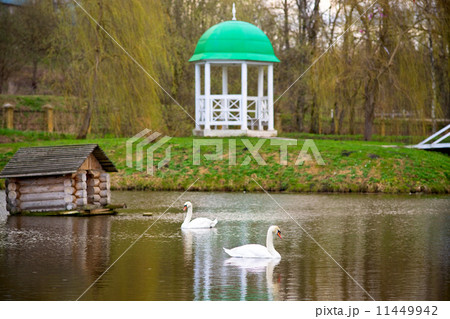 Pond 11449942