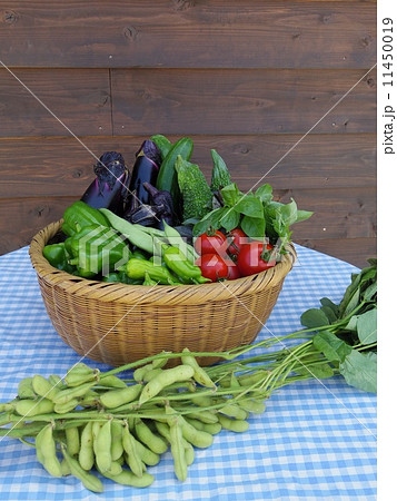収穫したての新鮮夏野菜 収穫したての新鮮夏野菜 11450019