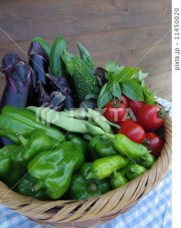 収穫したての新鮮夏野菜 11450020