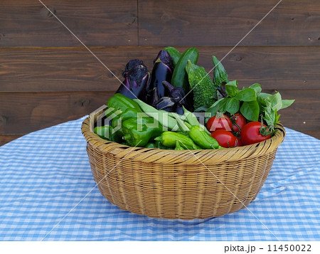 収穫したての新鮮夏野菜 収穫したての新鮮夏野菜 11450022