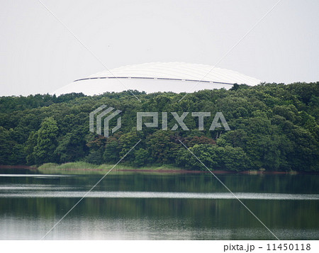 西武ドーム 11450118