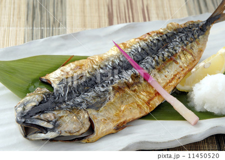 さば一夜干し、鯖の干物、 さば一夜干し、鯖の干物、 11450520