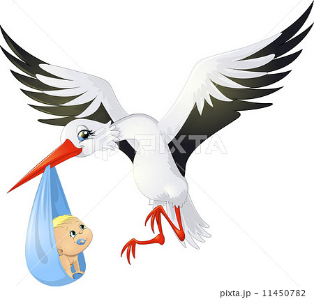 stork 11450782