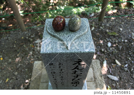 柿田川公園　貴船神社のえんむすび通り 11450891