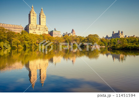 Central park at sunny day 11451594