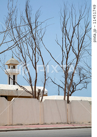 Old mosque and dry trees in Saudi Arabia 11451749