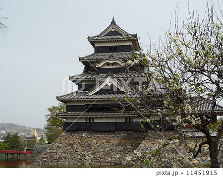 松本城　(長野県) 11451915