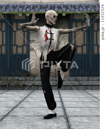 カンフーゾンビ 11452329