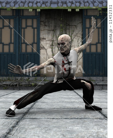 カンフーゾンビ 11452331