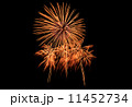 Fireworks 11452734
