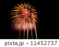 Fireworks 11452737
