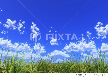 草原の青空 11452817