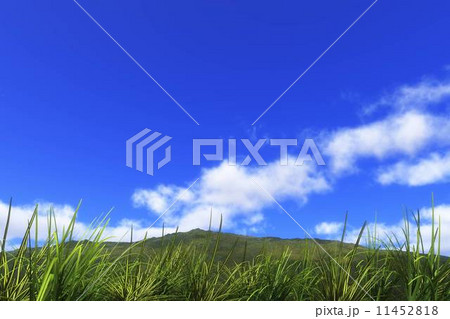 高原の雲 11452818