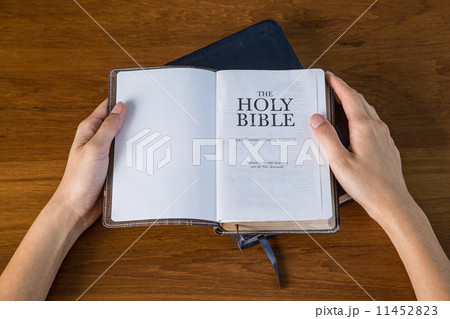 holy bible 11452823