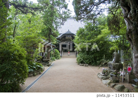 四国霊場46番札所浄瑠璃寺 11453511