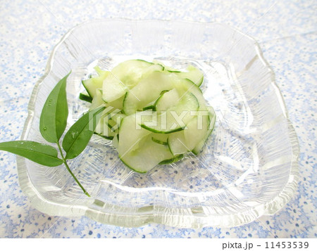 涼味のきゅうりの酢の物　The vinegared dish of a cucumber  11453539
