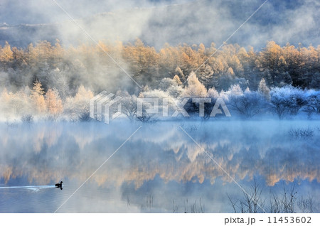 幻の小田代湖 幻の小田代湖 11453602