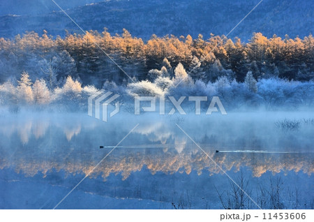 幻の小田代湖 幻の小田代湖 11453606