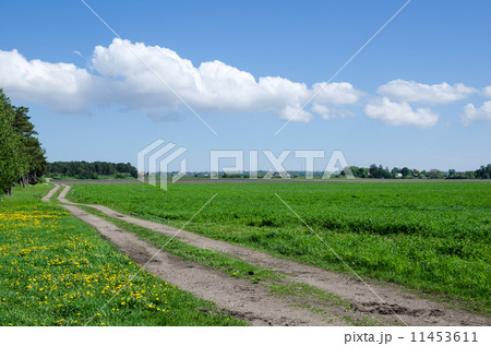 Farmers road at field 11453611