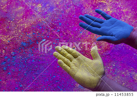 Close-up of hands showing blue and yellow power paint during Holi festival 11453855