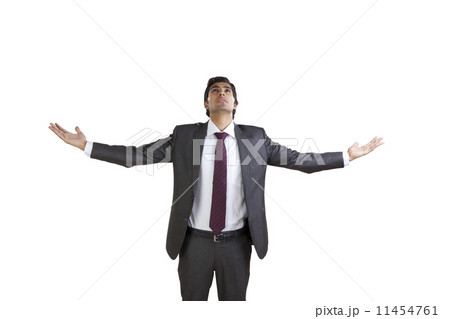 Business executive enjoying with arms outstretched 11454761