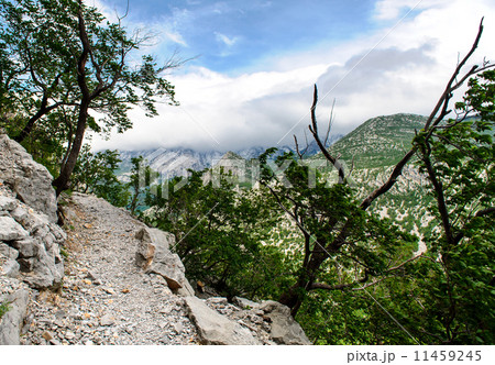Scenic mountain landscape Scenic mountain landscape 11459245