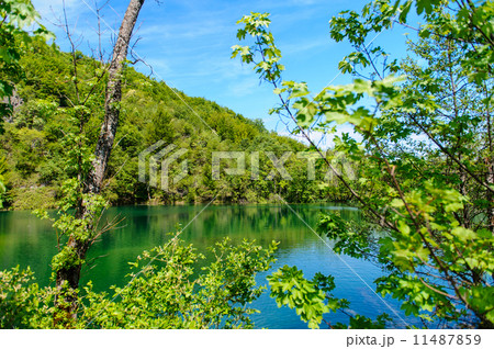 Plitvice Lakes National Park in Croatia, beautiful landscape Plitvice Lakes National Park in Croatia, beautiful landscape 11487859