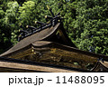 熊野本宮大社 11488095