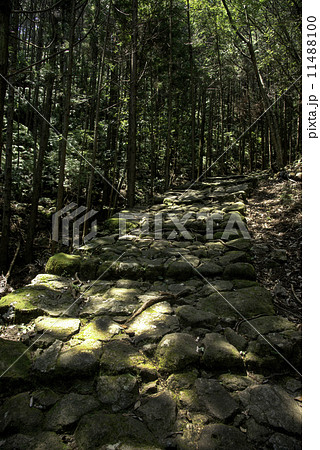 熊野古道 伊勢路 熊野古道 伊勢路 11488100