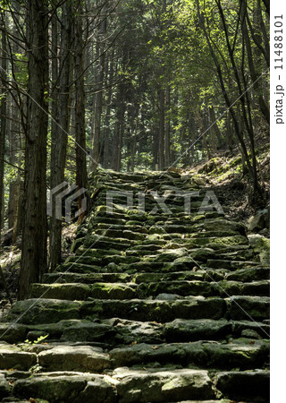 熊野古道　伊勢路 11488101