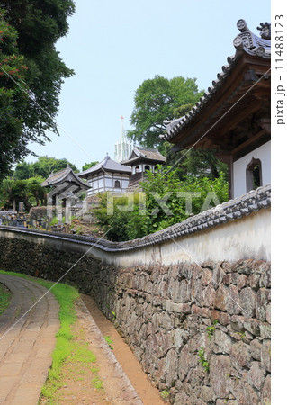 平戸　寺院と教会の見える風景 11488123