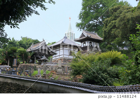 平戸　寺院と教会の見える風景 11488124