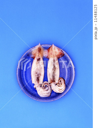 イカイメージ 11488125