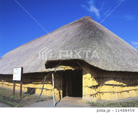 三内丸山遺跡、青森 11488459