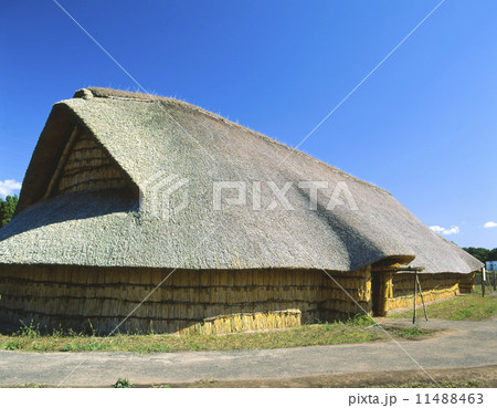 三内丸山遺跡、青森 11488463