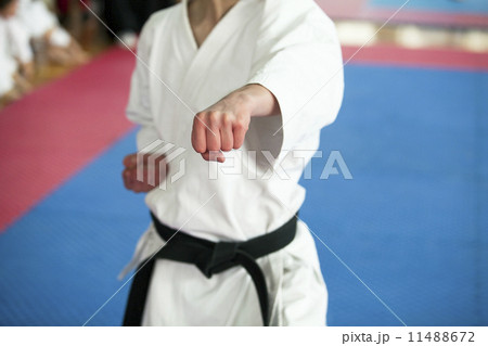 Karate 11488672