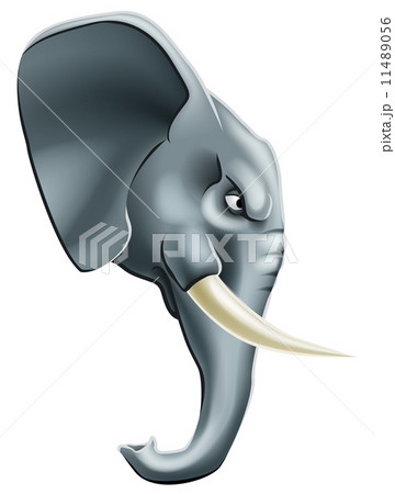 Elephant mascot character 11489056