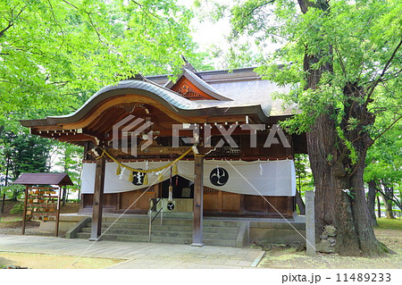 八幡原史跡公園 川中島古戦場 八幡社と逆槐の写真素材 八幡原史跡公園 川中島古戦場 八幡社と逆槐の写真素材