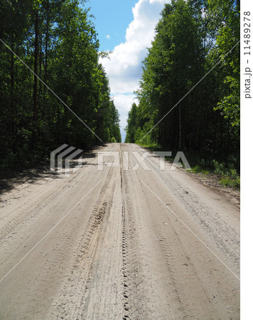 dirt road in the woods 11489278