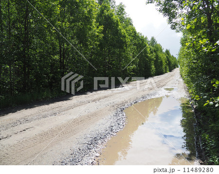 dirt road in the woods 11489280