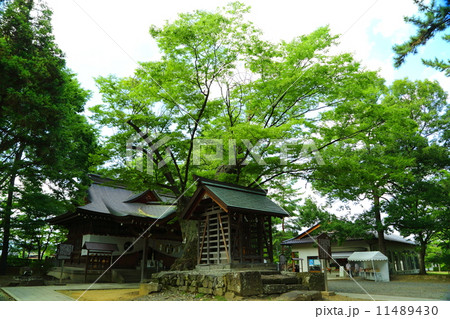 川中島古戦場八幡社 11489430