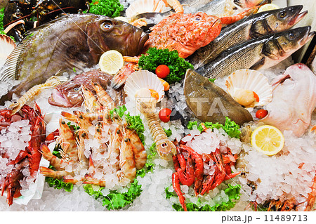raw fish and seafood in ice raw fish and seafood in ice 11489713